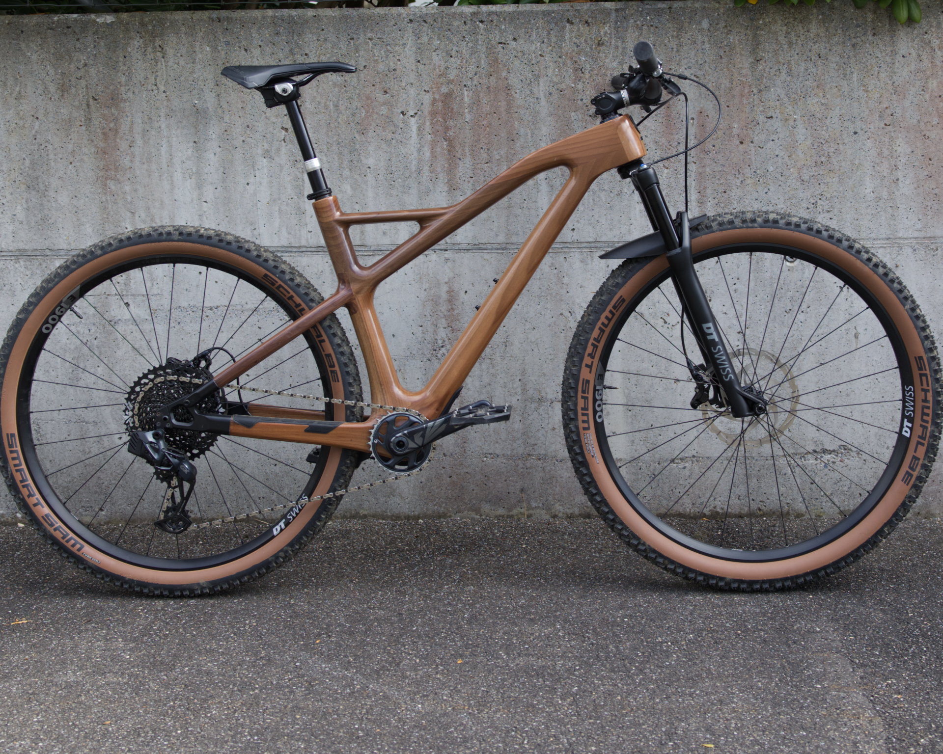 Testbikes Annum & Ornus – Bild 3