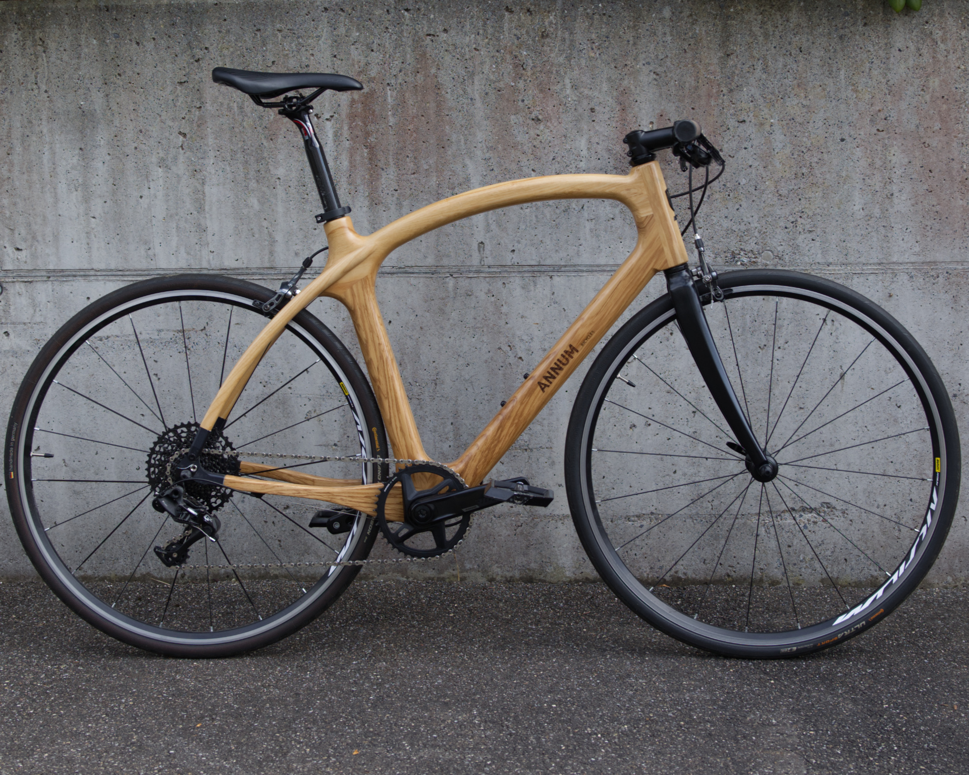Testbikes Annum & Ornus – Bild 2